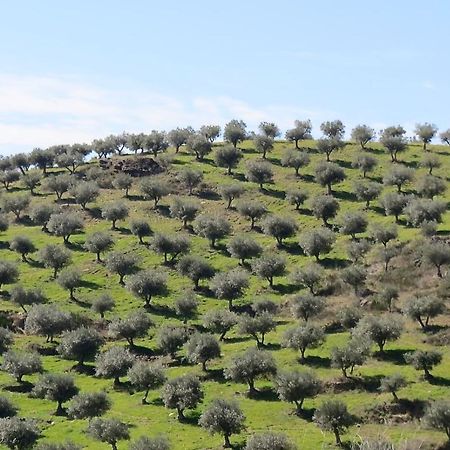 Agroturismo Casal De Castro Avantos Eksteriør bilde